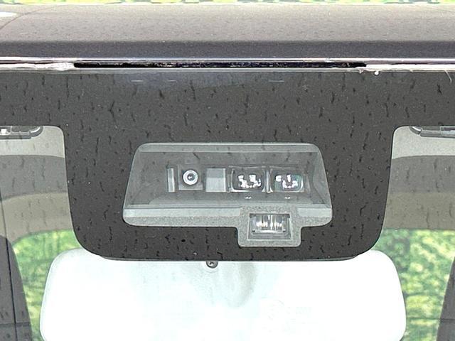 24380955_carP_l_4.jpg