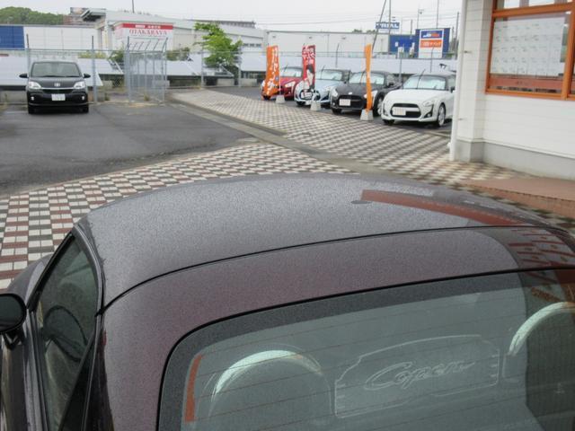 24083851_carP_l_17.jpg