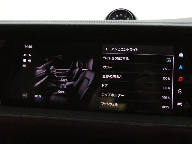 26126273_carP_l_11.jpg