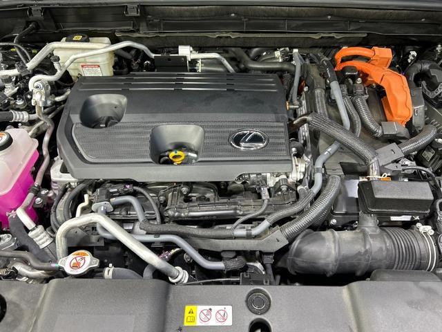26774201_carP_l_12.jpg