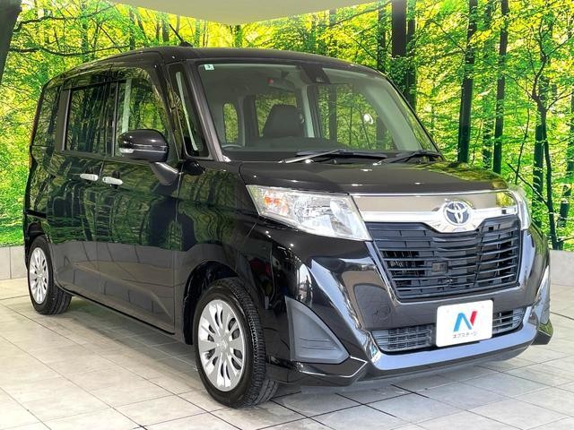 25283690_carP_l_11.jpg