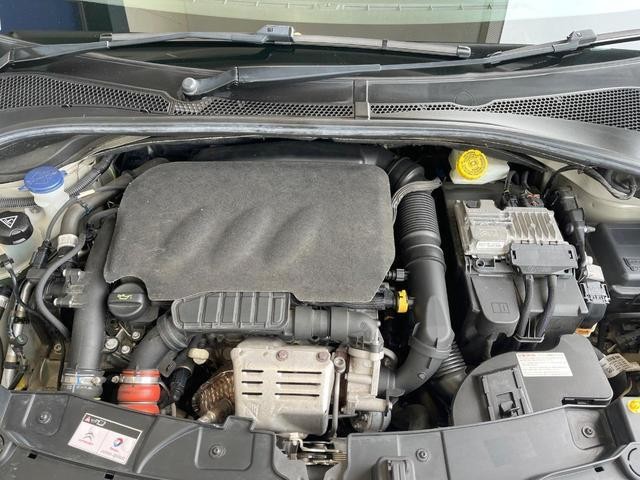 25734064_carP_l_18.jpg