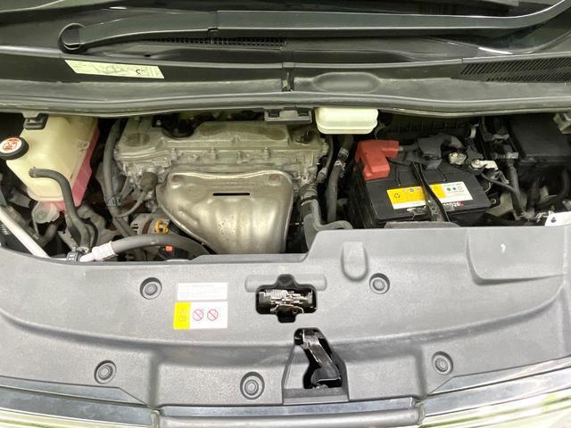 24219266_carP_l_16.jpg