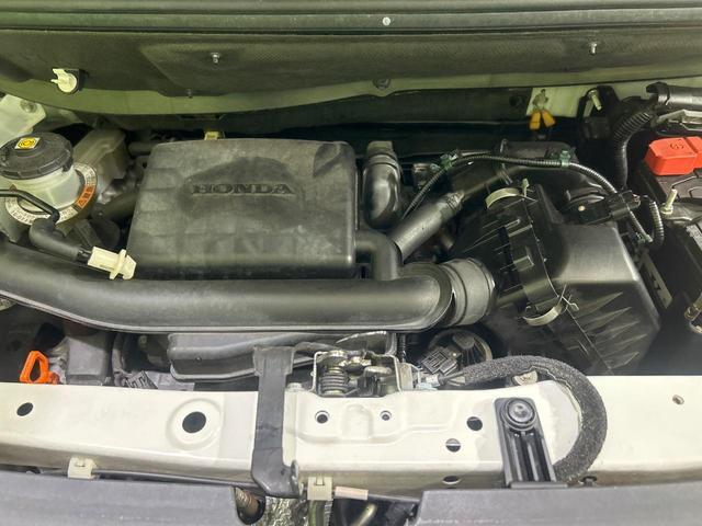 24320522_carP_l_16.jpg
