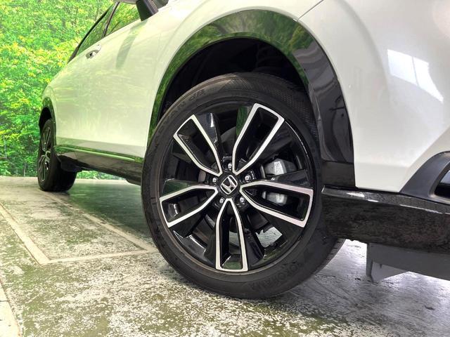 24869413_carP_l_6.jpg