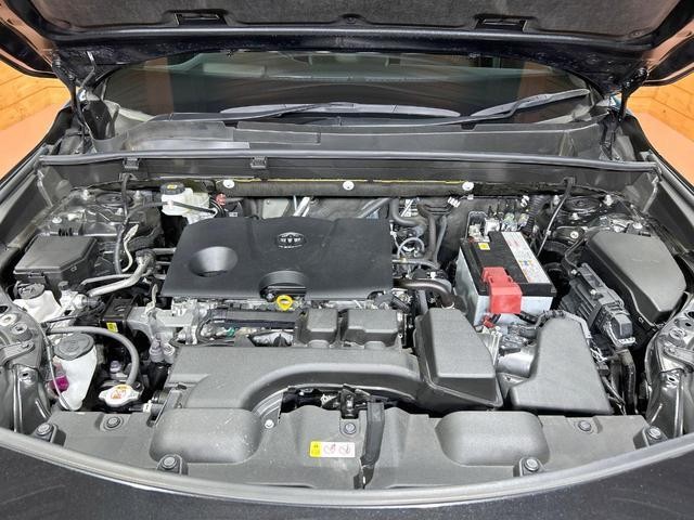 25527860_carP_l_16.jpg
