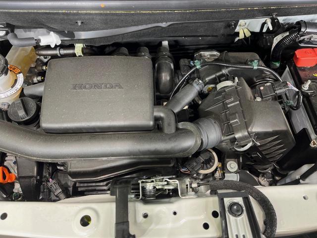 24706287_carP_l_16.jpg