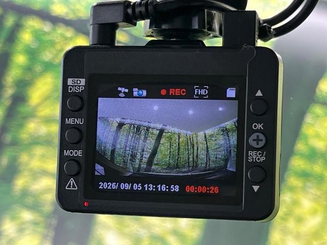 26272984_carP_l_15.jpg