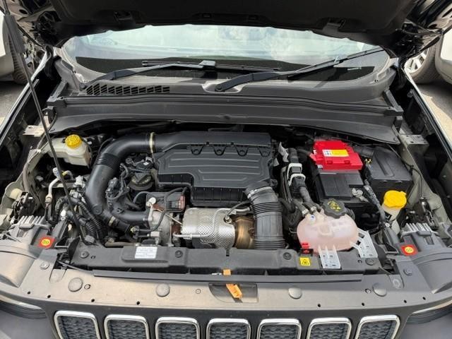 25405467_carP_l_20.jpg