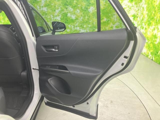 24305230_carP_l_10.jpg