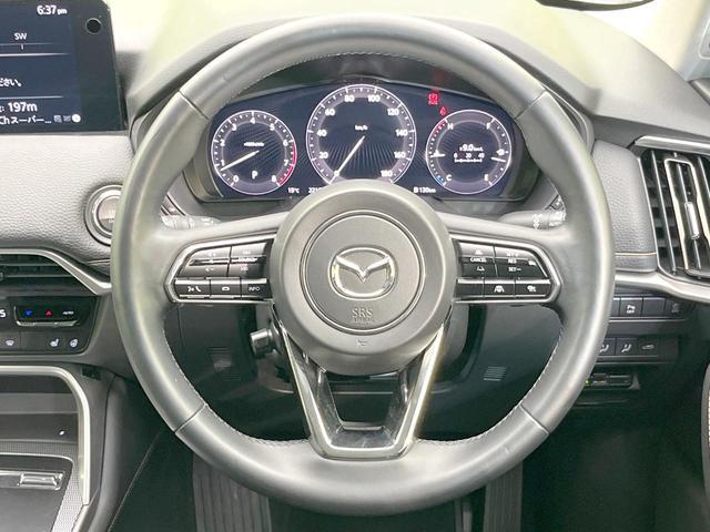 23074242_carP_l_5.jpg