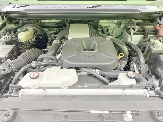 26335308_carP_l_16.jpg