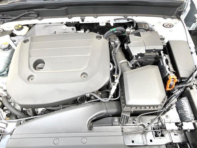 24461872_carP_l_20.jpg