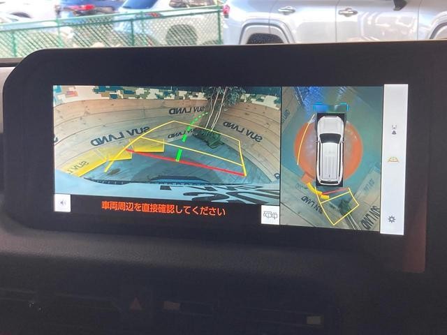 26688388_carP_l_10.jpg