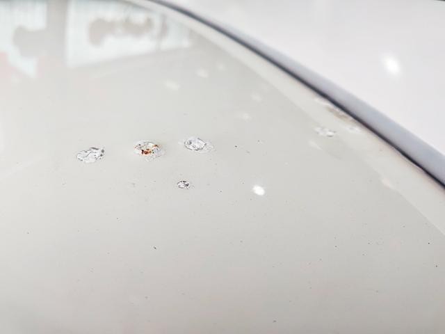 0400271A30260906W00118.jpg