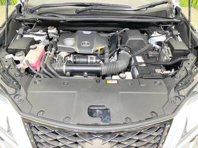 24953100_carP_l_16.jpg