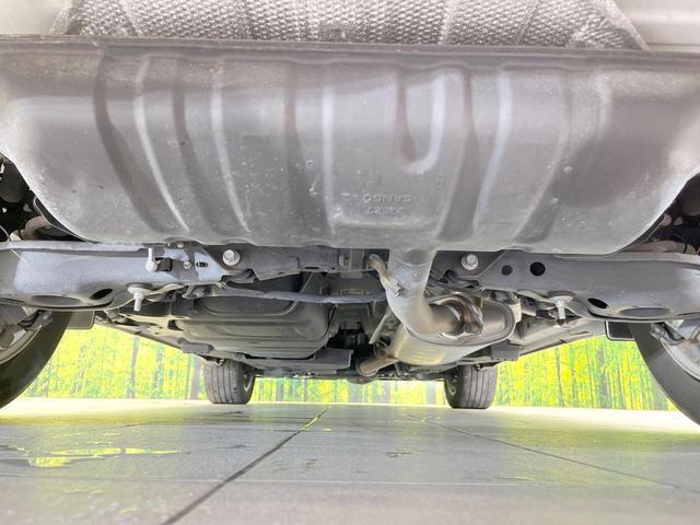 24953100_carP_l_18.jpg
