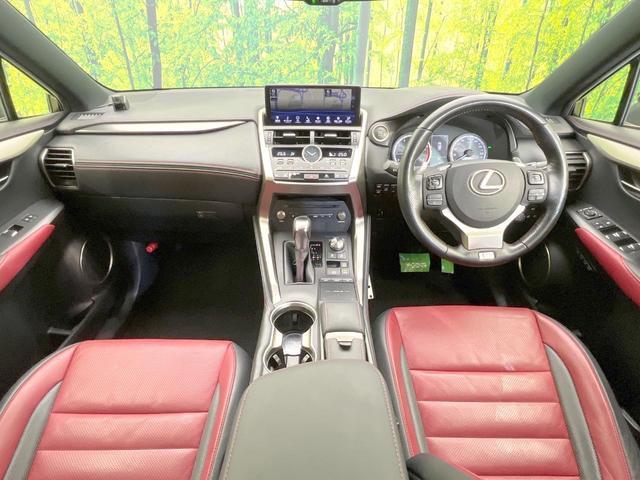 24953100_carP_l_3.jpg