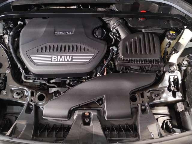 26509546_carP_l_6.jpg