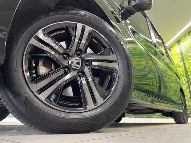 24199695_carP_l_8.jpg