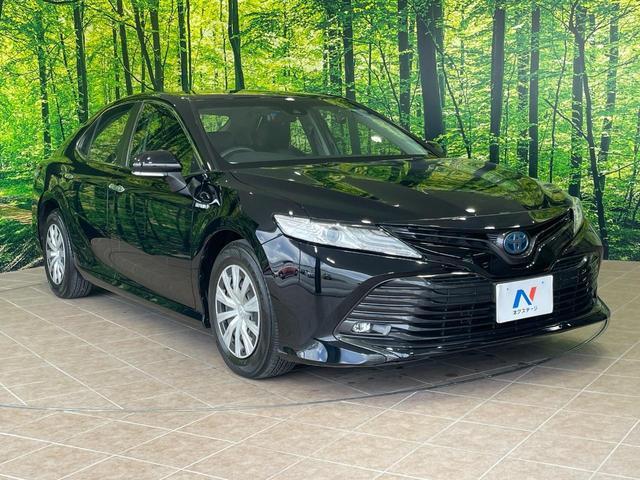 24462043_carP_l_12.jpg