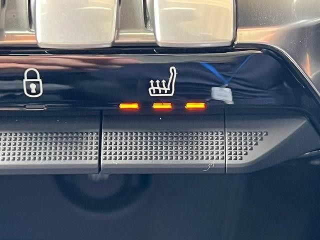 25543167_carP_l_14.jpg