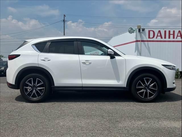 25961149_carP_l_16.jpg