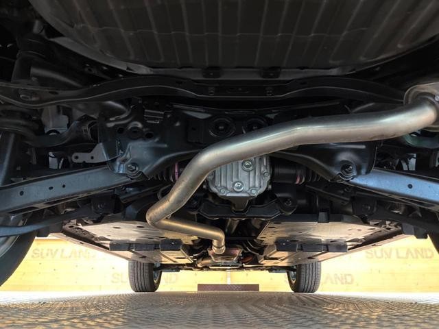 25591363_carP_l_18.jpg