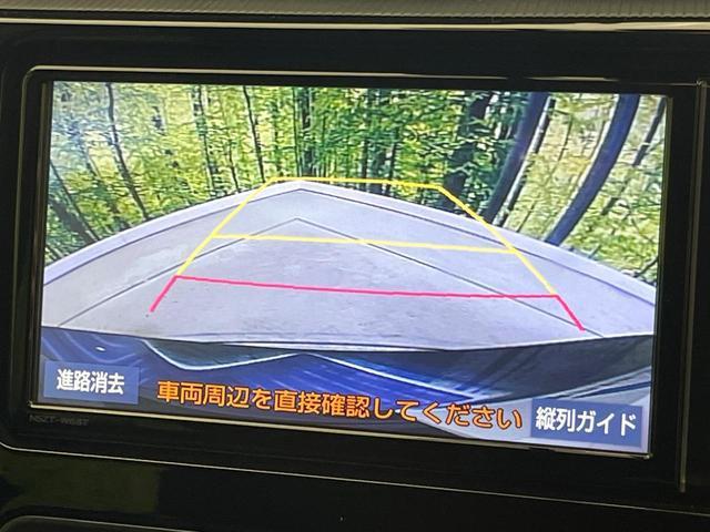 23093557_carP_l_4.jpg