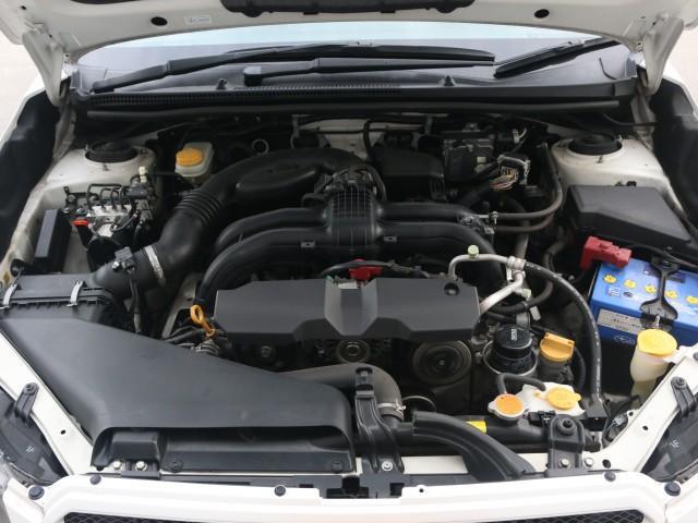 24706541_carP_l_17.jpg