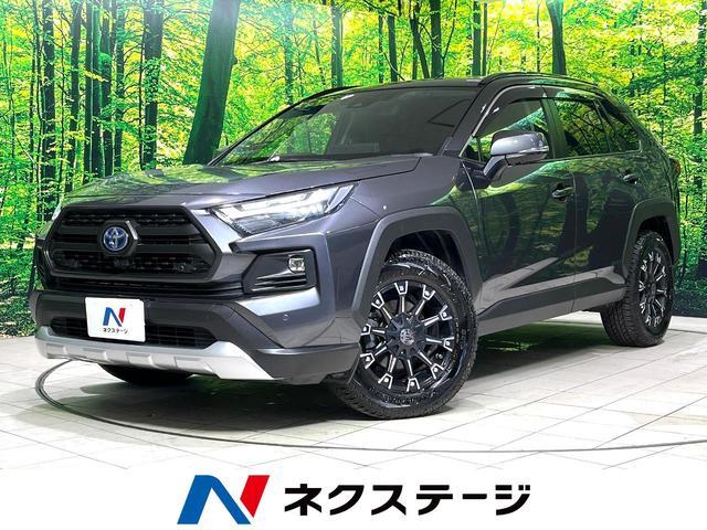 25425272_carP_l_1.jpg