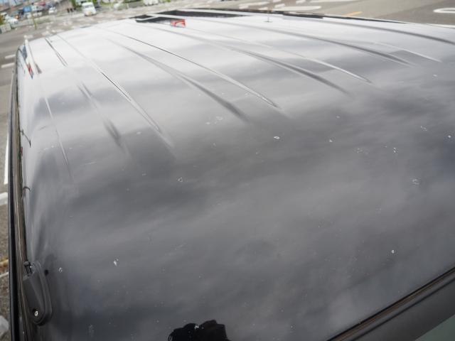 24395550_carP_l_16.jpg