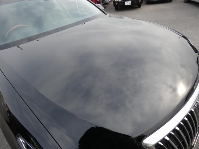 22311020_carP_l_4.jpg