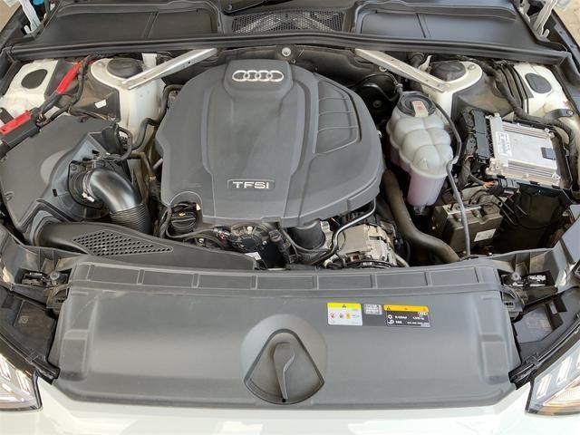 25482162_carP_l_12.jpg