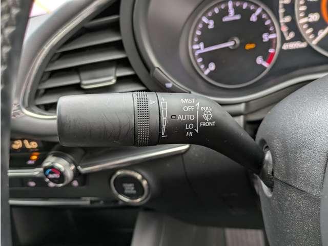 24088872_carP_l_20.jpg