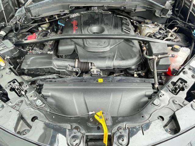 24481418_carP_l_18.jpg