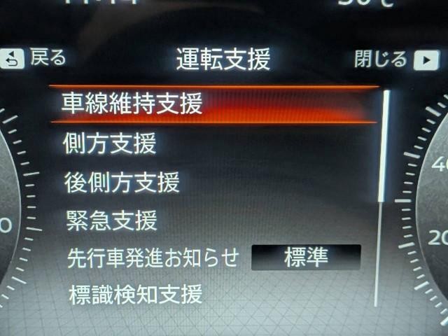 25533247_carP_l_8.jpg