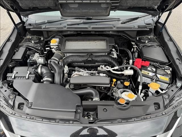 26228235_carP_l_8.jpg