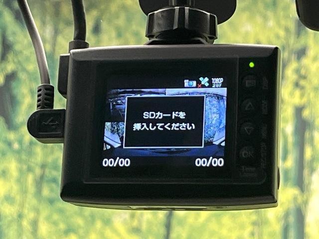 25693876_carP_l_14.jpg