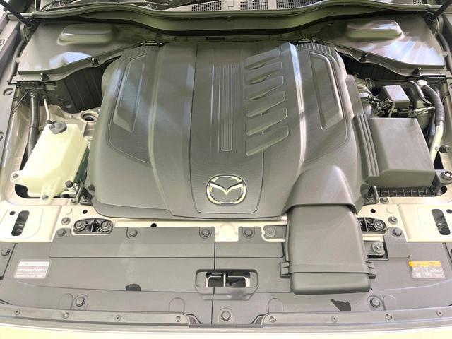 24340103_carP_l_16.jpg