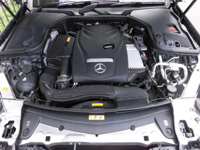 22544971_carP_l_17.jpg