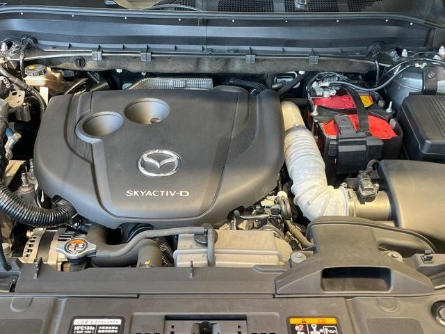 26688442_carP_l_16.jpg