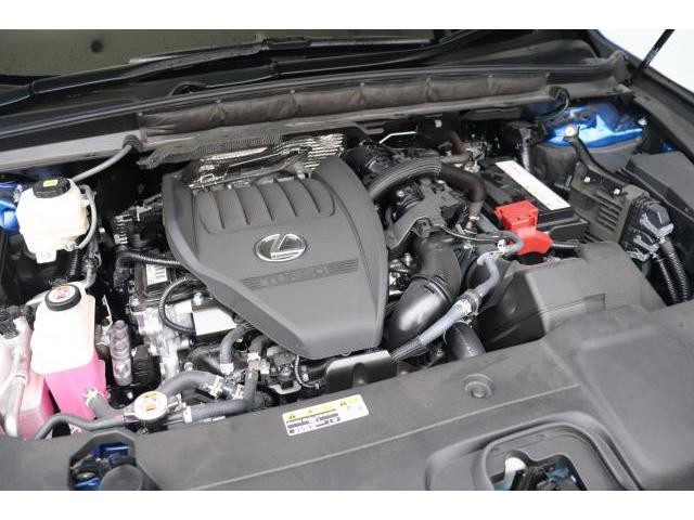 26887501_carP_l_17.jpg