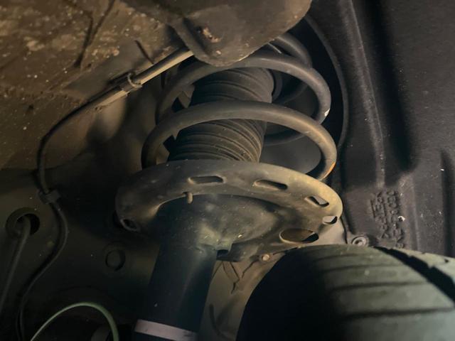 24500845_carP_l_20.jpg