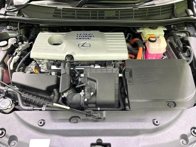 22600863_carP_l_16.jpg