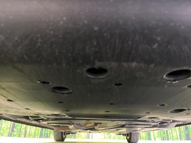 24500863_carP_l_20.jpg