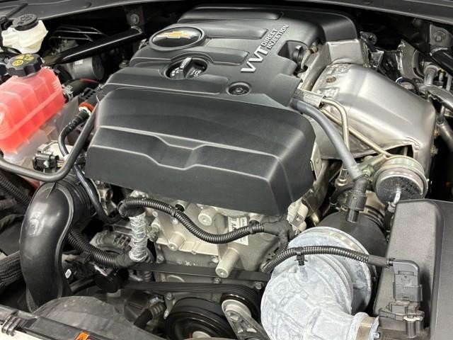 25405607_carP_l_7.jpg