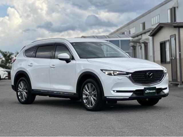 24907191_carP_l_20.jpg