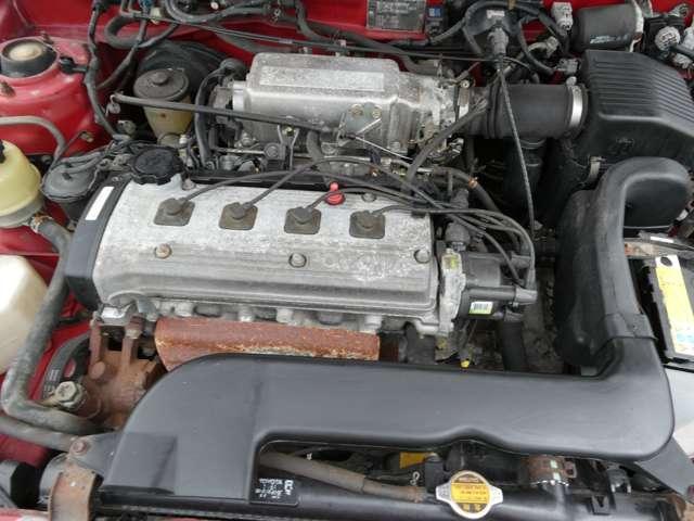 24909763_carP_l_5.jpg