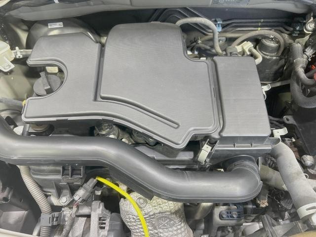 24995274_carP_l_16.jpg